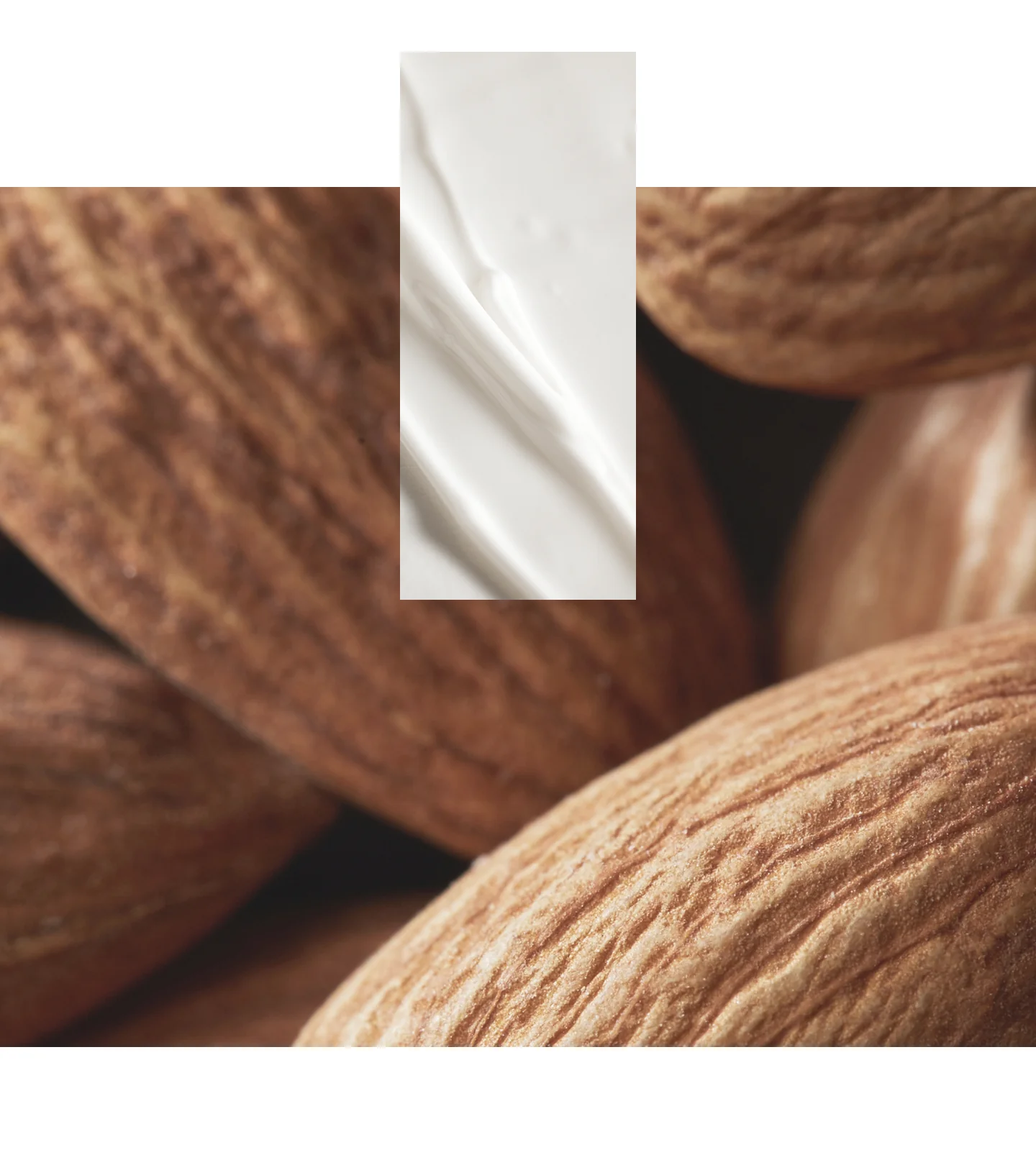 COASTAL FIG Handcreme - Image 3