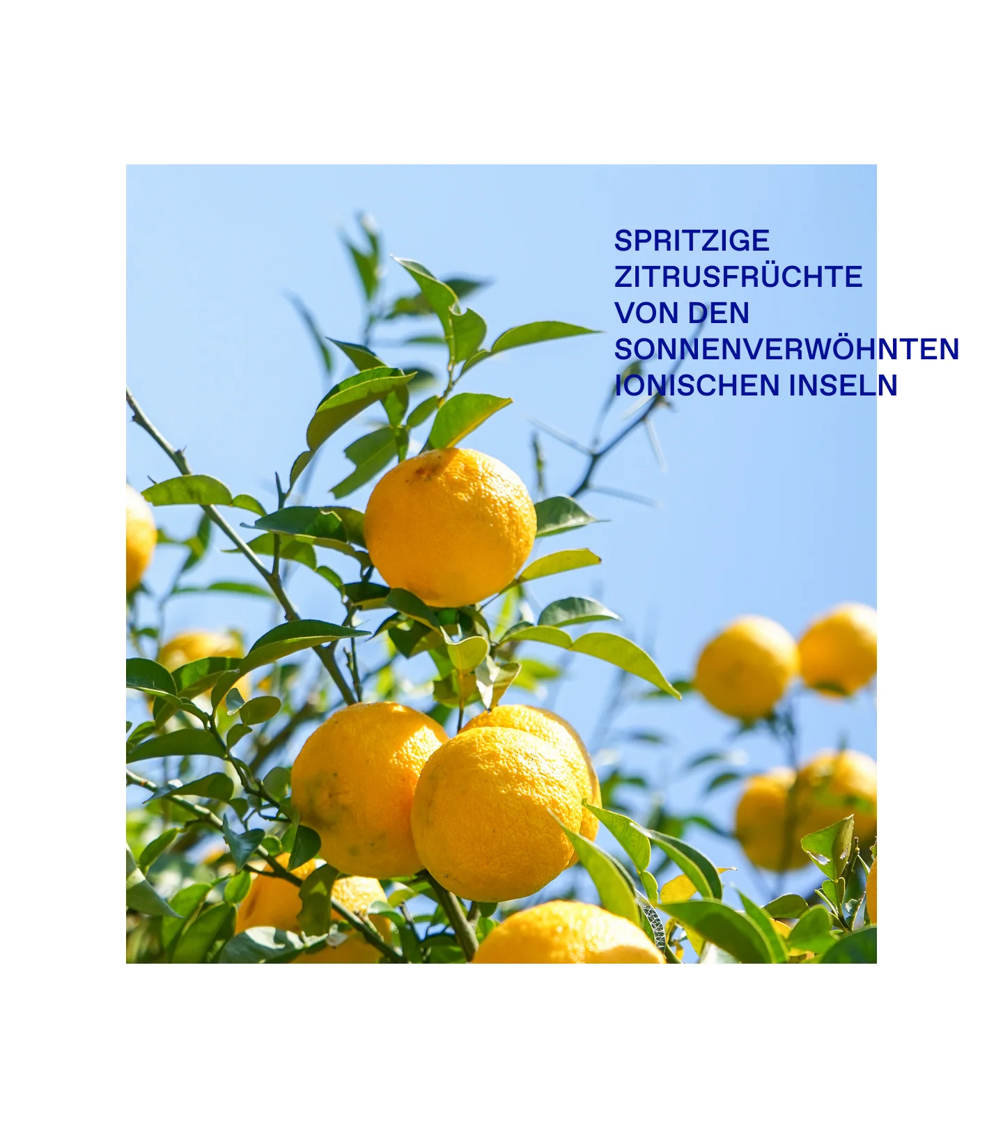 IONIAN Blue EDT unisex - Image 3