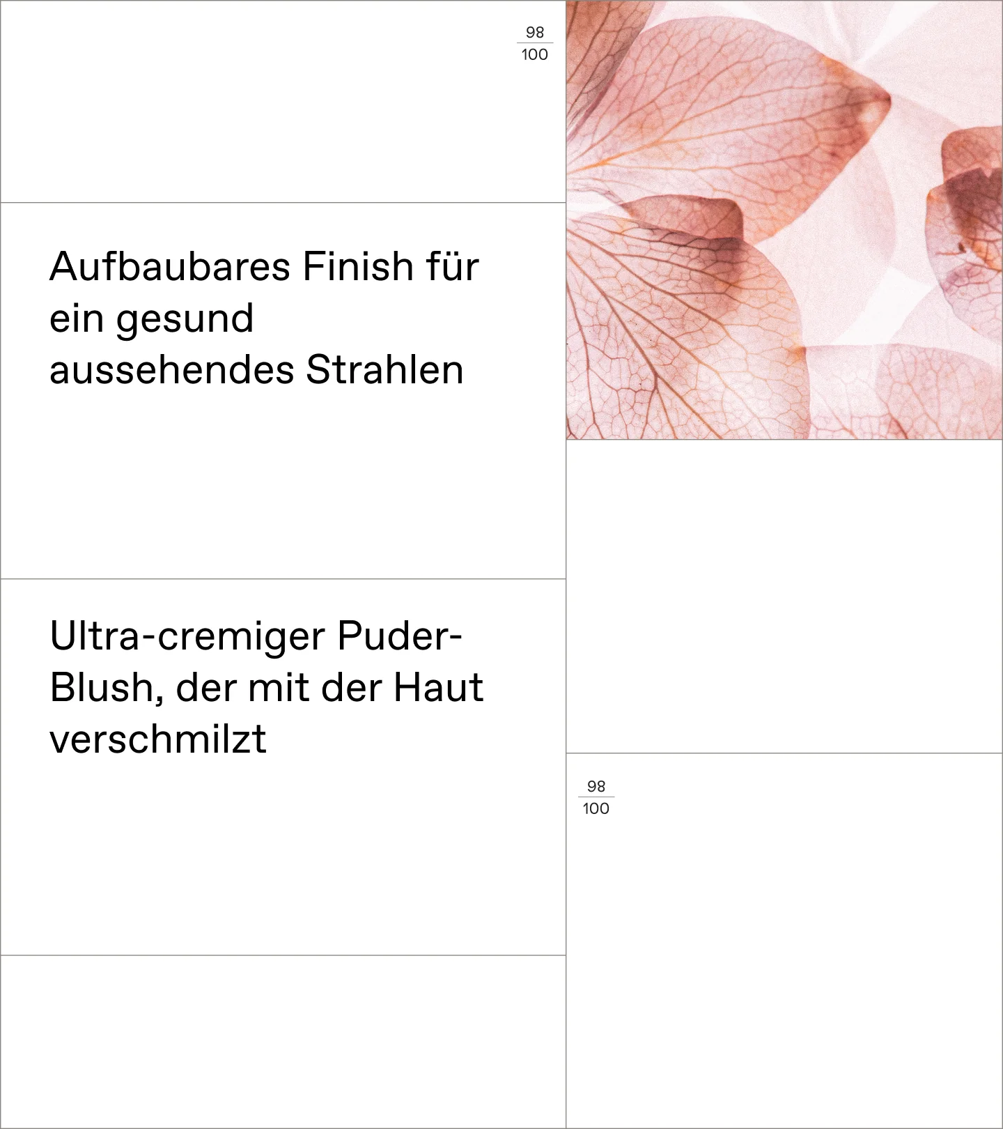Natural Fresh Blush Pink Peony 01 - Image 3